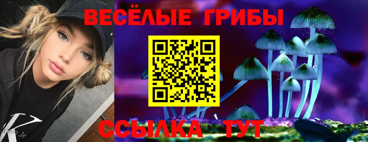 Ессентуки  Галлюциногенные грибы мухоморы  Вход с VPN 