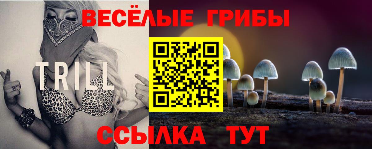 Псилоцибиновые грибы Psilocybe Ессентуки